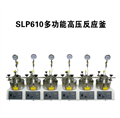 SLP系列六联平行高压反应釜